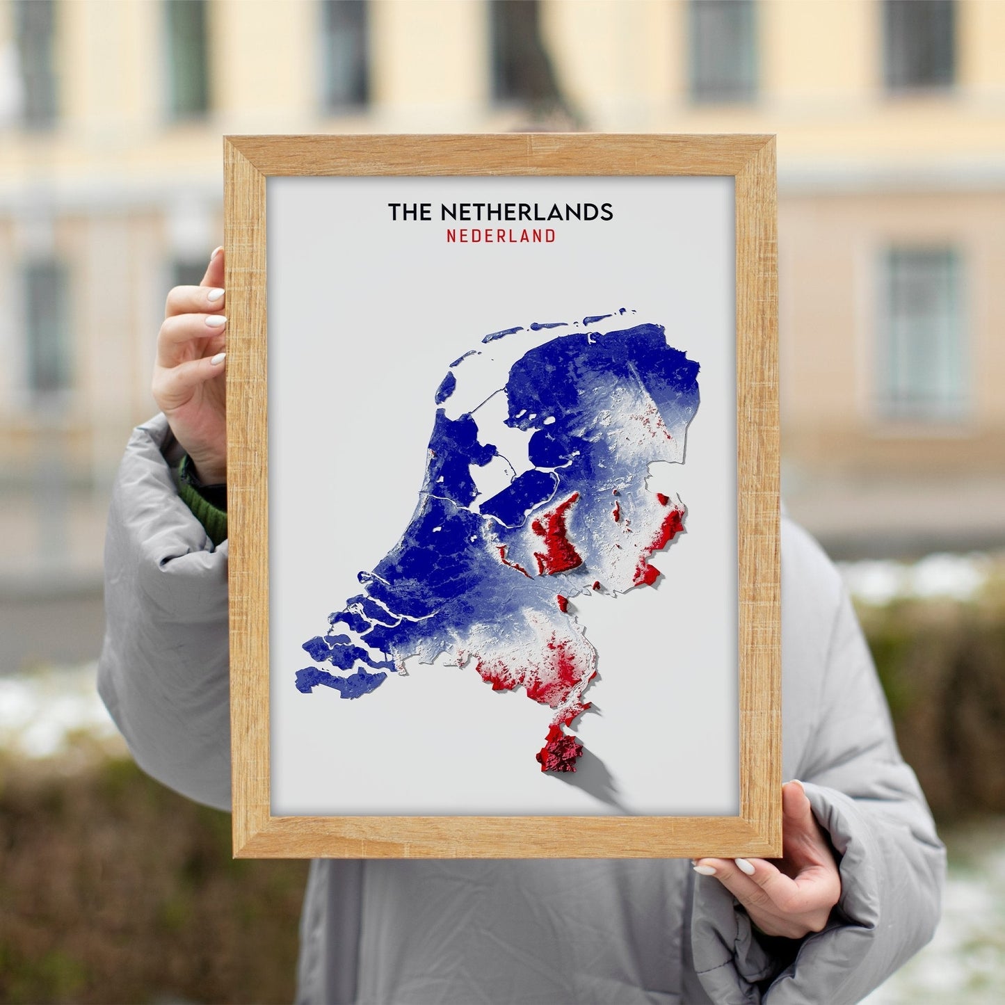 Netherlands Relief Map