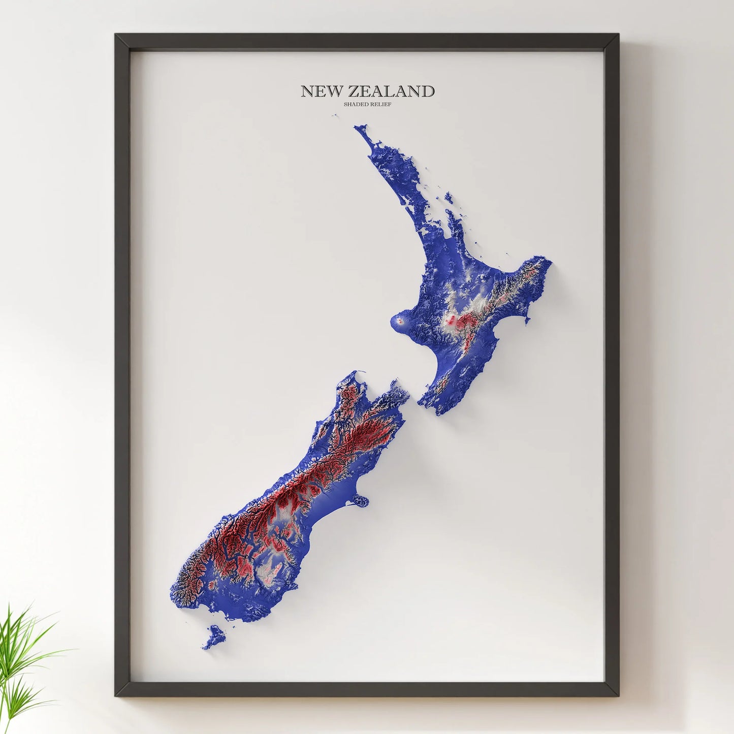 New Zealand Relief Map