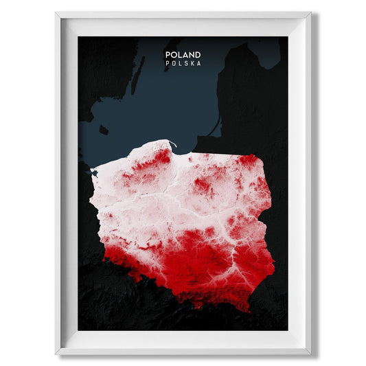 Poland Relief Map