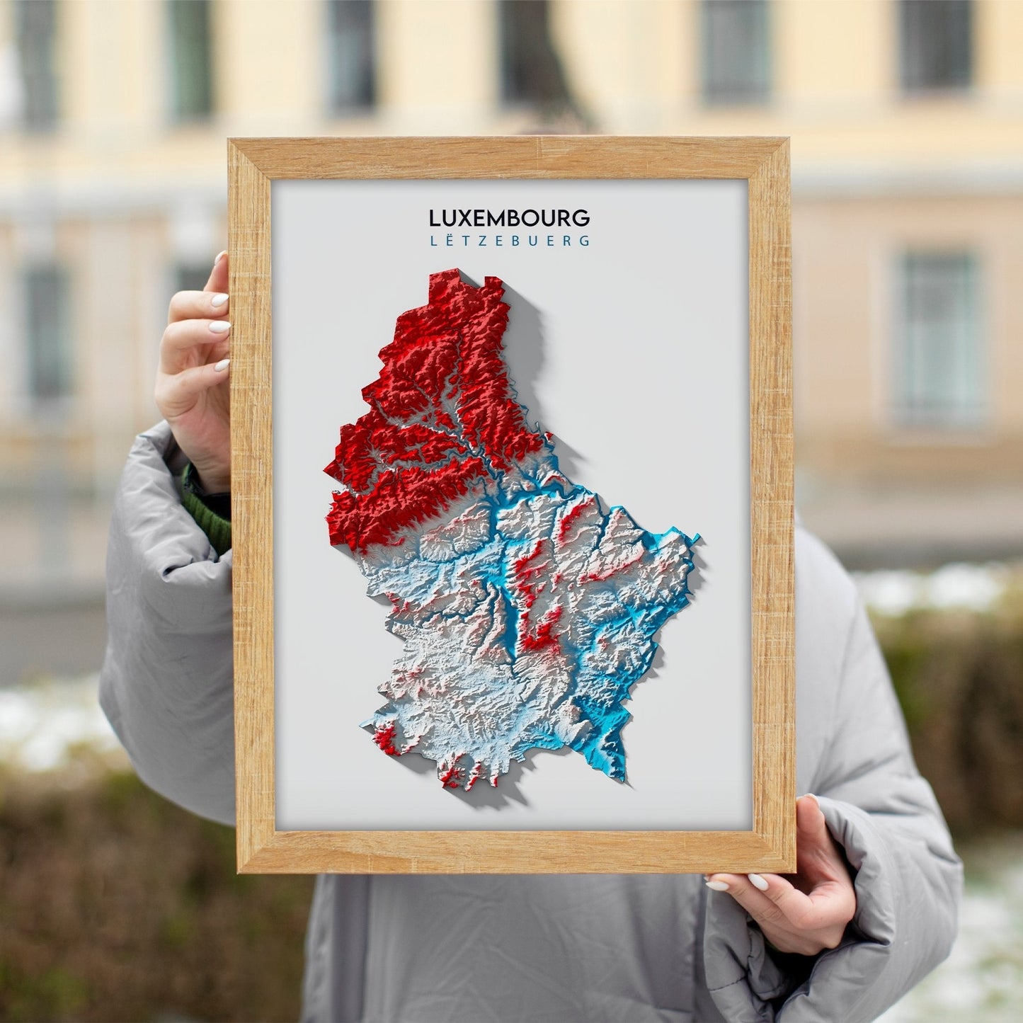 Luxembourg Relief Map Enhanced