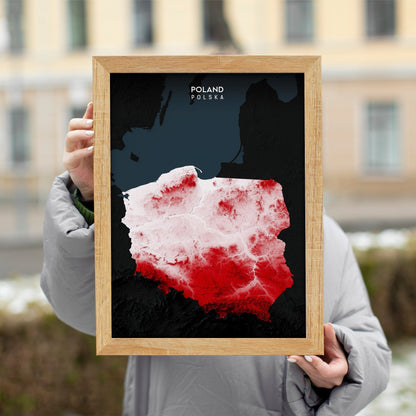 Poland Relief Map