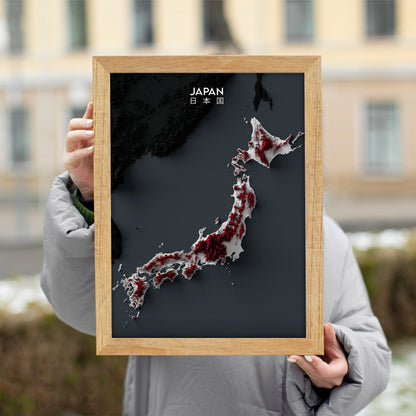 Japan Relief Map
