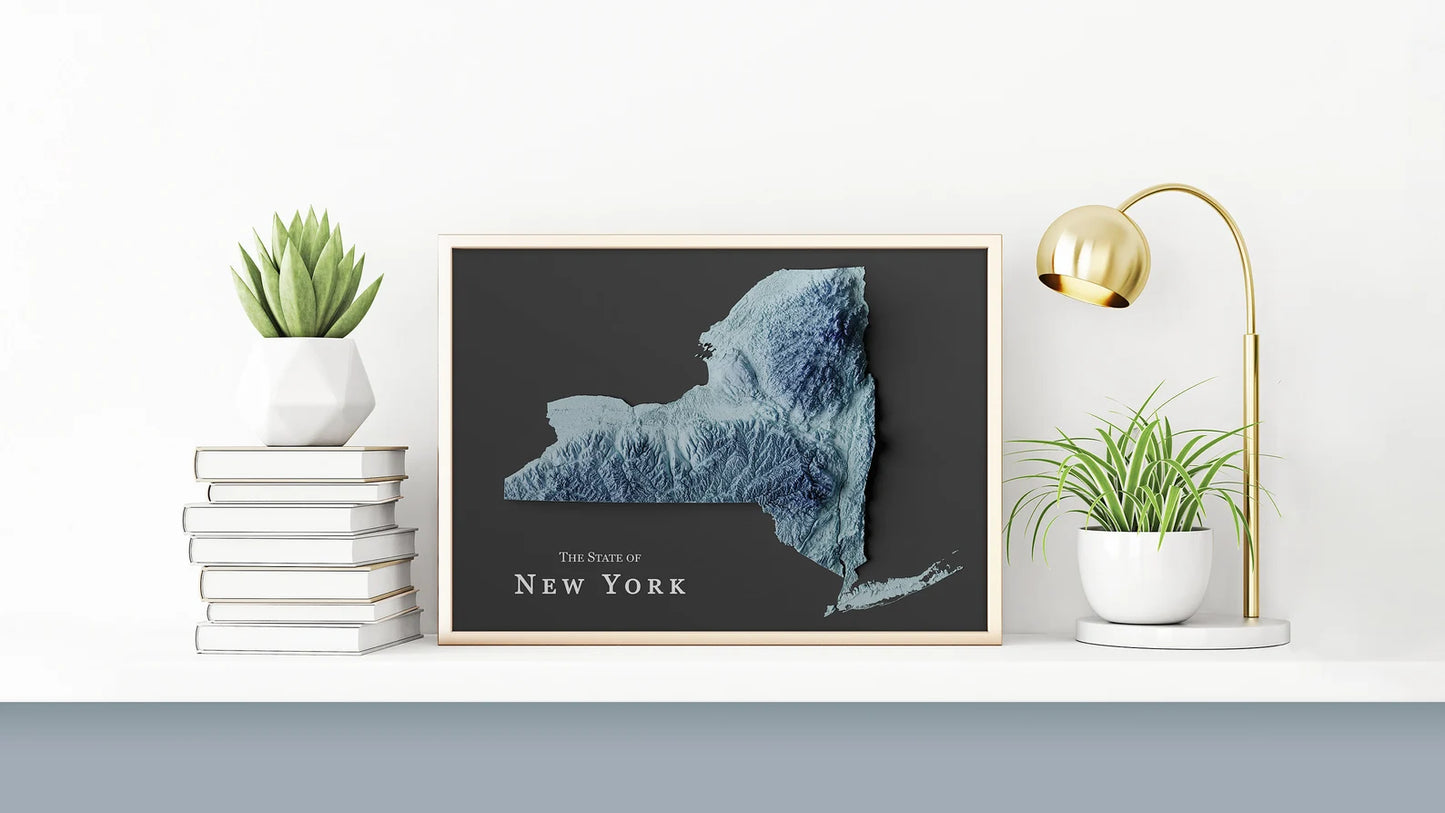 New York State Relief Map
