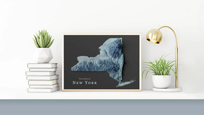 New York State Relief Map
