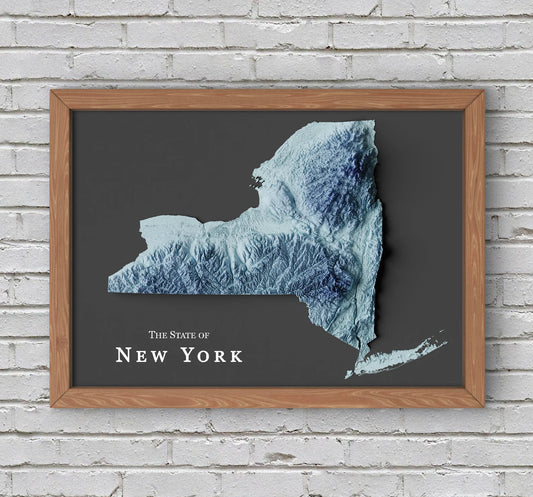 New York State Relief Map