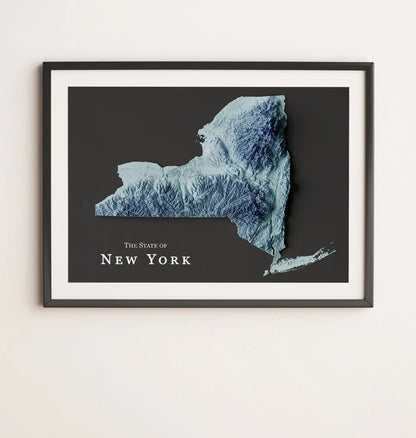 New York State Relief Map