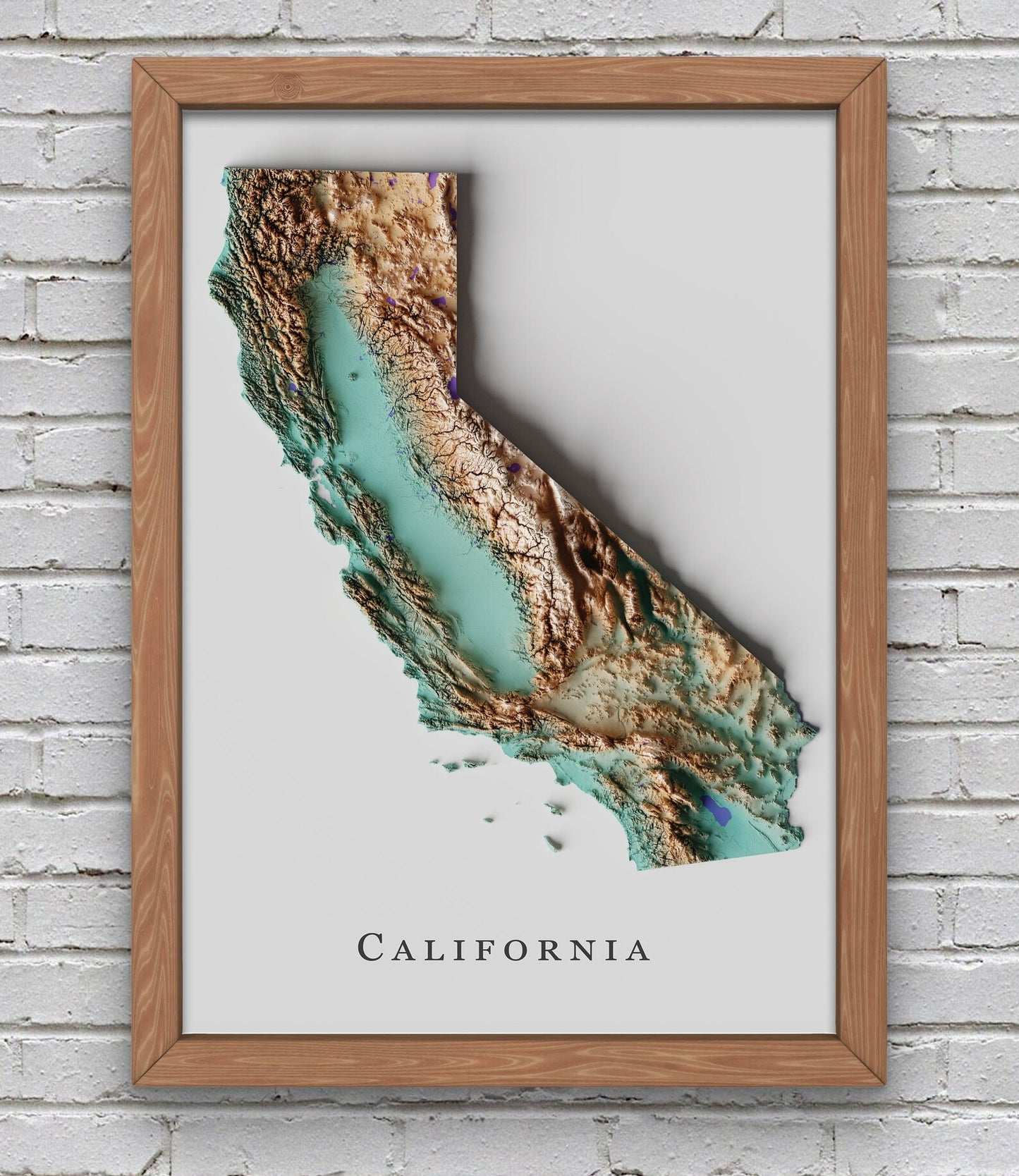 California Relief Map