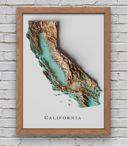 California Relief Map