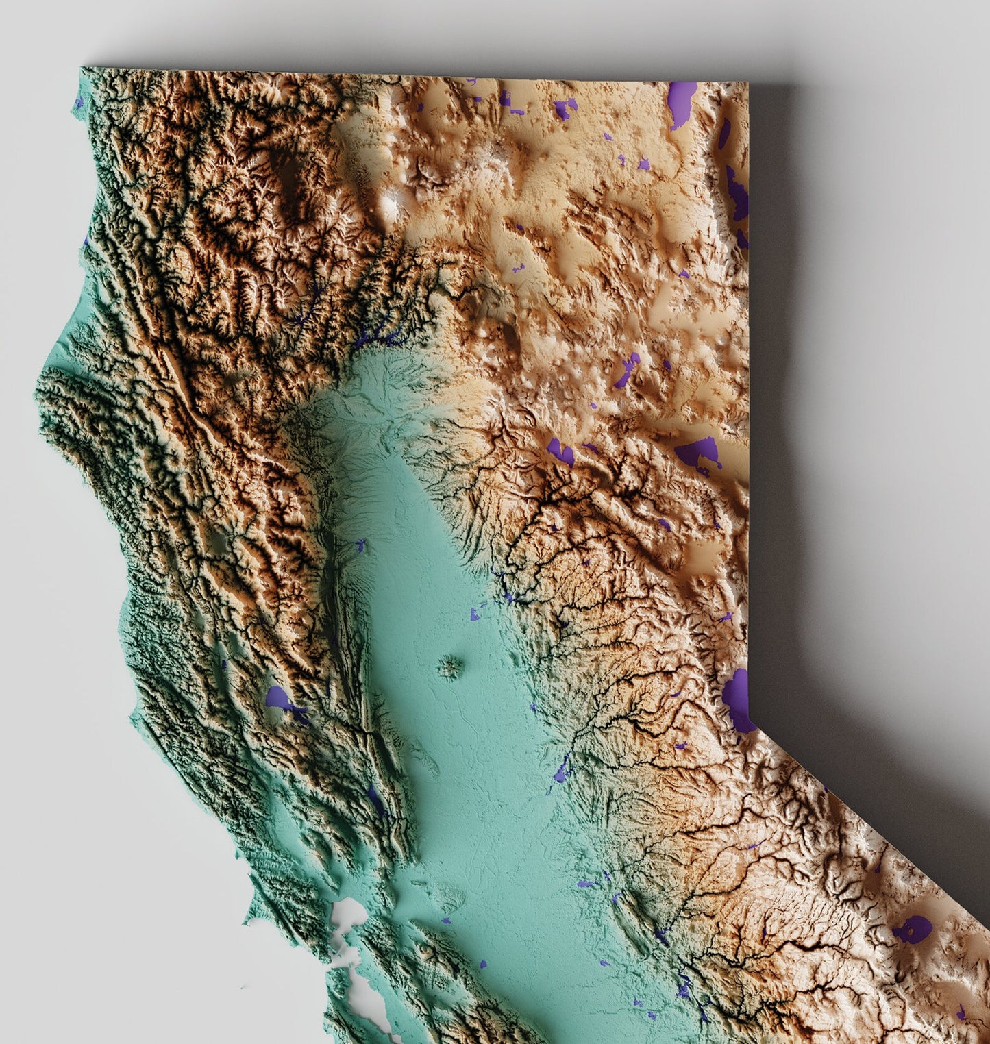 California Relief Map