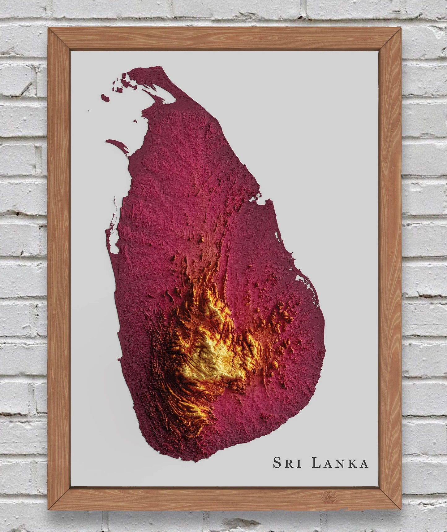 Sri Lanka Relief Map