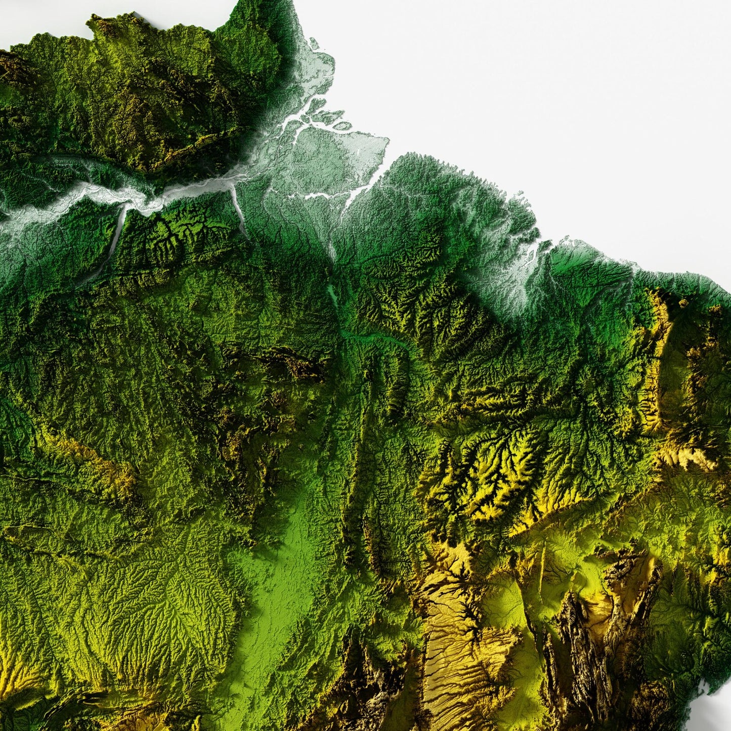 Brazil Relief Map