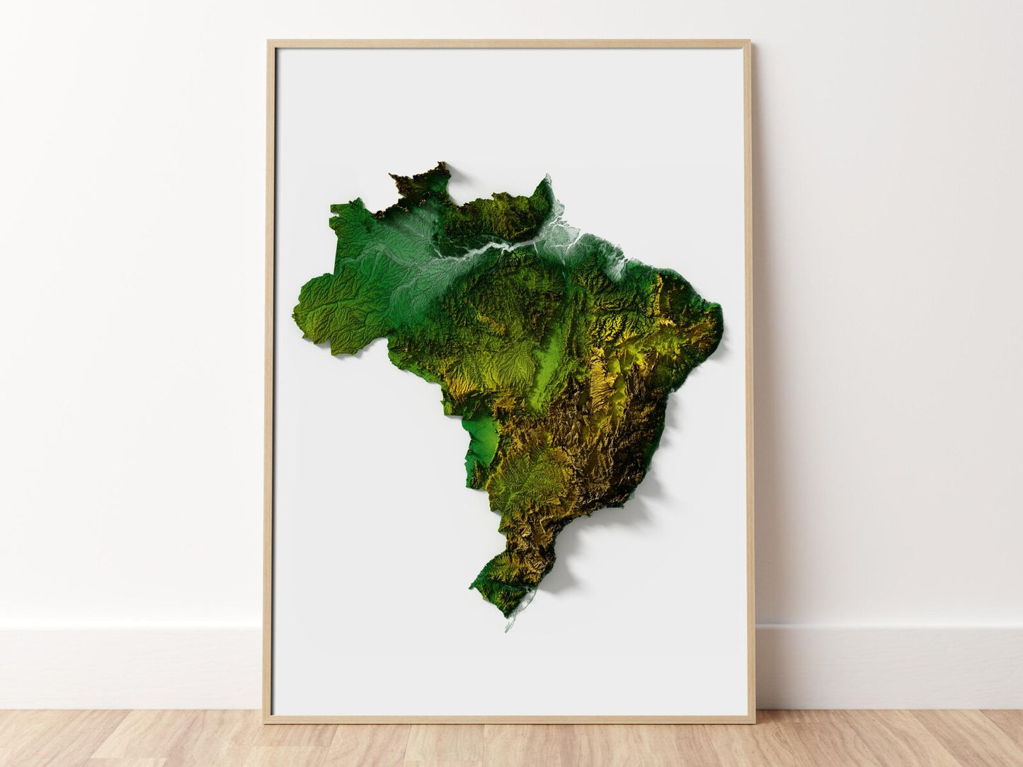 Brazil Relief Map